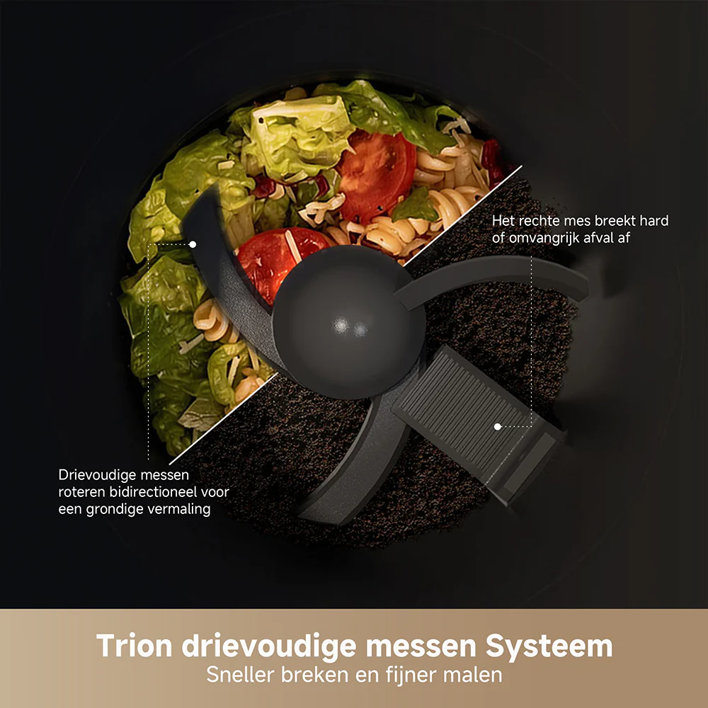 Miniatuur 7